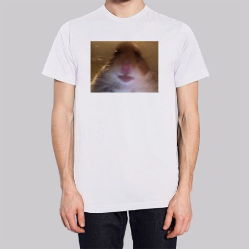 Funny Face Hamster Staring Hoodie