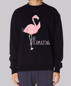 Funny Flamingo Be Flamazing Hoodie