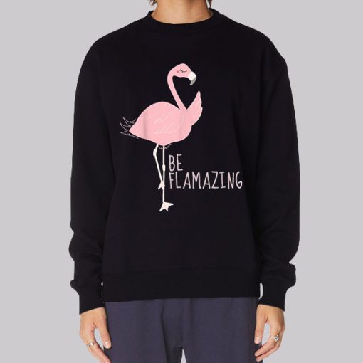 Funny Flamingo Be Flamazing Hoodie