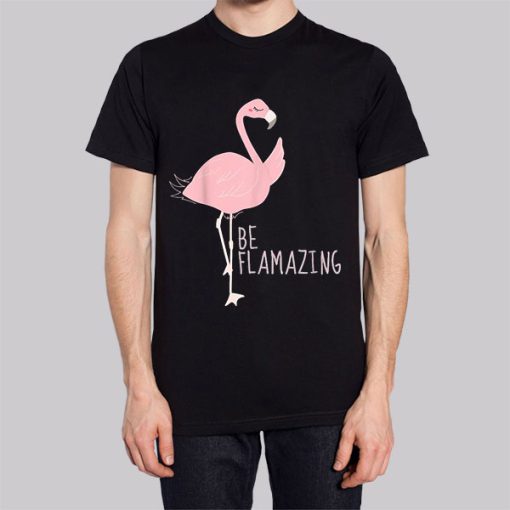 Funny Flamingo Be Flamazing Hoodie