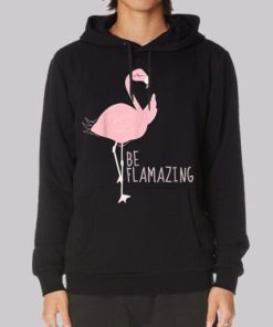 Funny Flamingo Be Flamazing Hoodie 4
