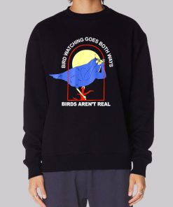 Funny Meme Birds Arent Real Hoodie