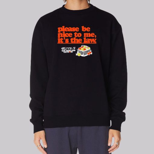 Funny Please Be Nice to Me It’s the Law Hoodie