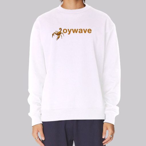 Funny Scorpion King Joywave Hoodie