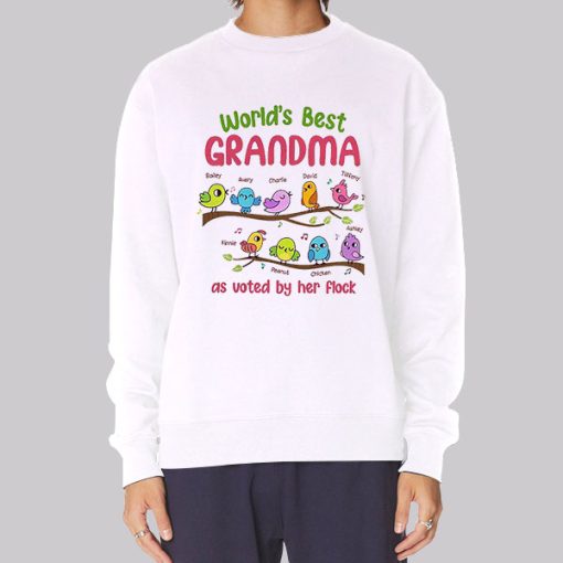 Funny Worlds Best Cool Grandmas Hoodie