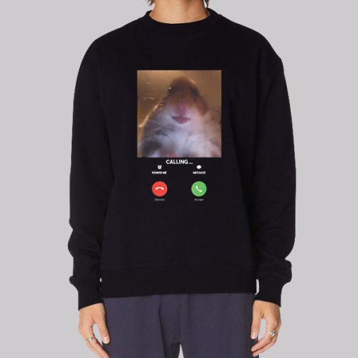 Hamster Staring at Camera Hoodie