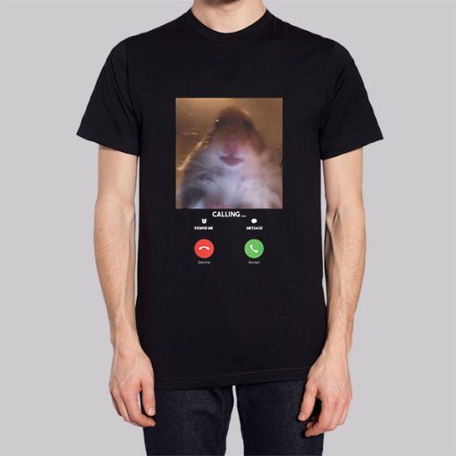 Hamster Staring at Camera Hoodie