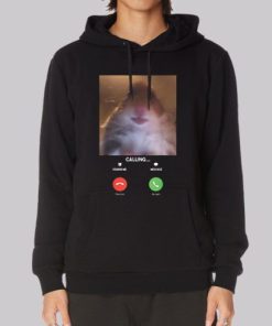 Hamster Staring at Camera Hoodie 4