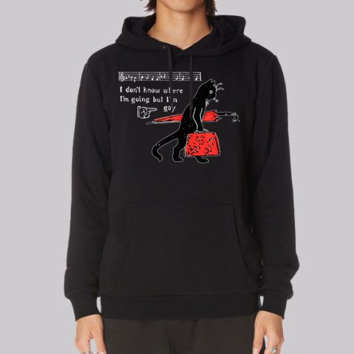 I Dont Know Where Im Going but Im Gay Hoodie