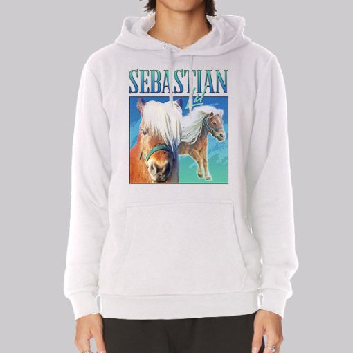 I Met Lil Sebastian Horse Poster Hoodie