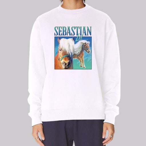 I Met Lil Sebastian Horse Poster Hoodie