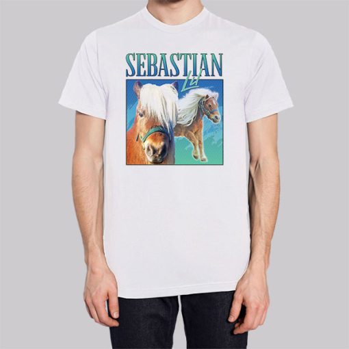 I Met Lil Sebastian Horse Poster Hoodie