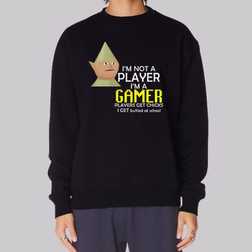 Im Not a Player Im a Gamer Funny Hoodie