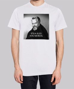 Its a Sled You Moron Memes Hoodie 3