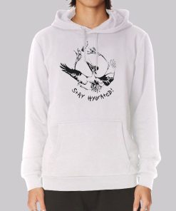 Modest Pelican Merch Funny Hoodie Modest Pelican Merch Funny Hoodie