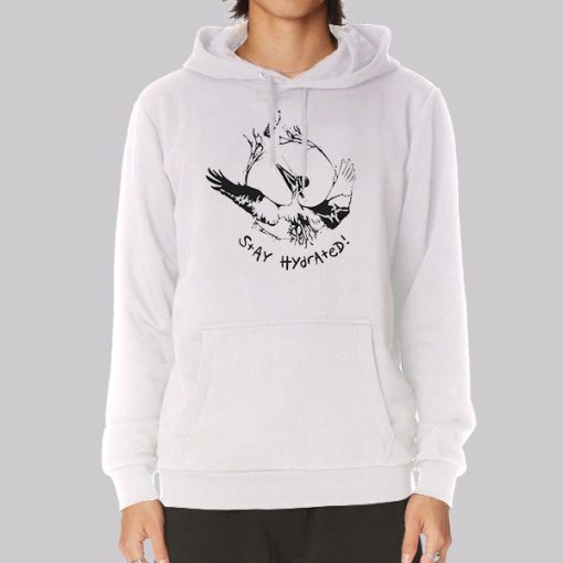 Modest Pelican Merch Funny Hoodie