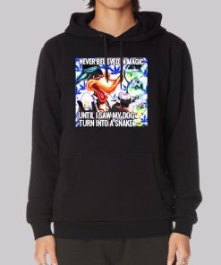 Never Believed in Magic Until I Saw My Dog Hoodie Never Believed in Magic Until I Saw My Dog Hoodie