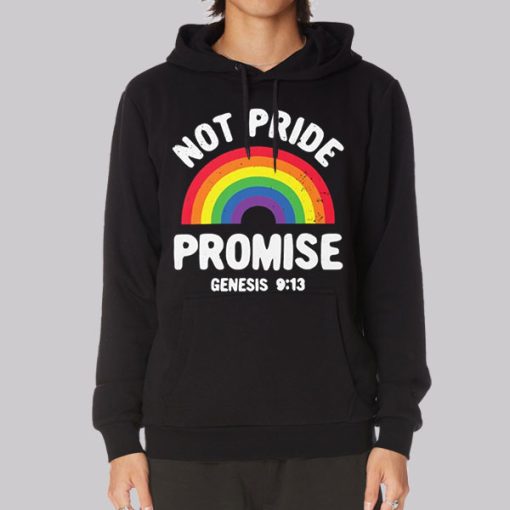 Not Pride Promise Lgbt Hoodie