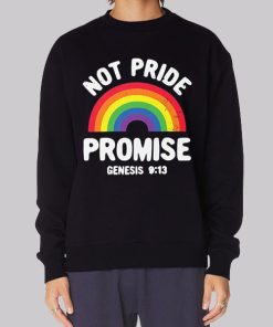 Not Pride Promise Lgbt Hoodie
