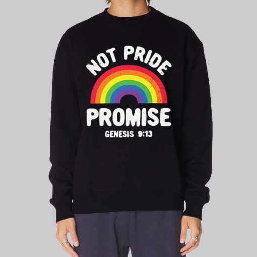 Not Pride Promise Lgbt Hoodie