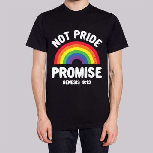 Not Pride Promise Lgbt Hoodie