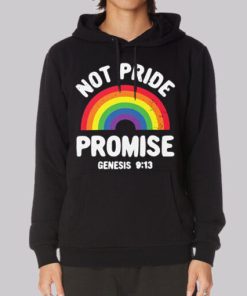 Not Pride Promise Lgbt Hoodie 3 Not Pride Promise Lgbt Hoodie 4