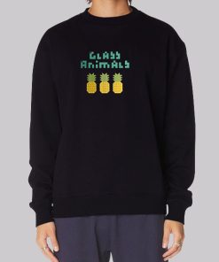 Pineapple Glass Animals Band Hoodie