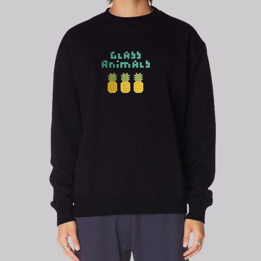 Pineapple Glass Animals Band Hoodie