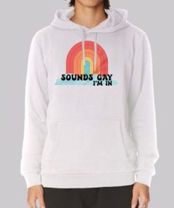 Pride Merch Sounds Gay Im in Hoodie 3 Pride Merch Sounds Gay Im in Hoodie 4