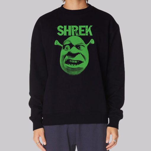 Shrek Funny Face Eyebrow Raised Hoodie