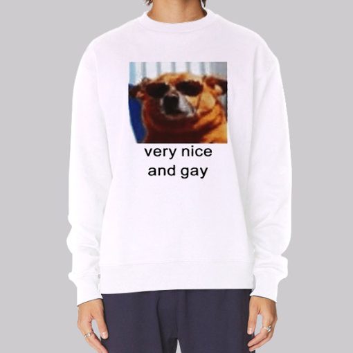 The Dog Very Nice and Gay Hoodie