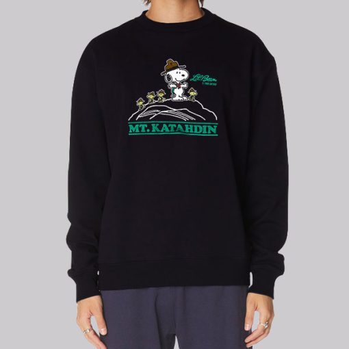 Todd Snyder Llbean Peanuts Snoopy Hoodie