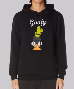 Vintage Look at Back Goofy Hoodie 4