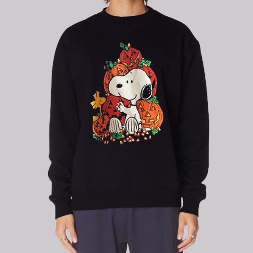 Vintage Snoopy and Woodstock Halloween Hoodie