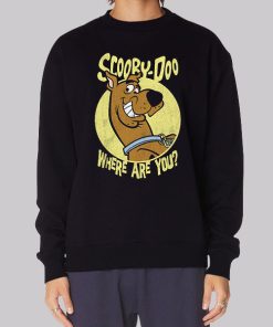 Where Are You Scooby Doo Hoodie