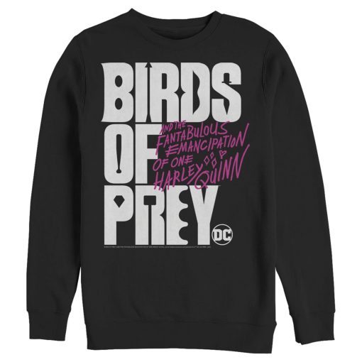 Men’s Birds of Prey Bold Text Logo Sweatshirt