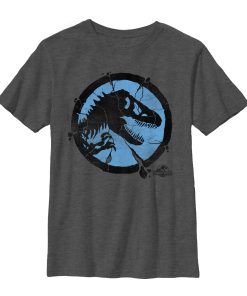 Boy’s Jurassic World Cracked T. Rex Logo T-Shirt
