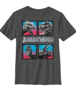 Boy’s Jurassic World Dinosaur Cracked Boxes T-Shirt