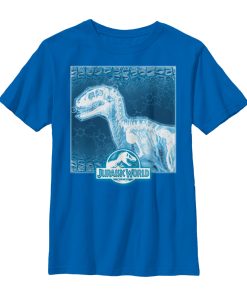 Boy’s Jurassic World Dinosaur X-Ray Photo T-Shirt