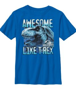 Boy’s Jurassic World Fallen Kingdom Awesome T.Rex T-Shirt