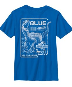 Boy’s Jurassic World Fallen Kingdom Blue Details T-Shirt