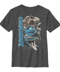 Boy’s Jurassic World Fallen Kingdom Dinosaur Montage T-Shirt