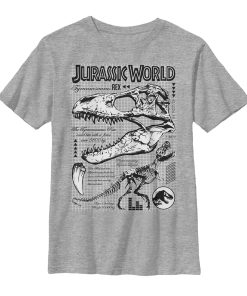 Boy’s Jurassic World Fallen Kingdom T. Rex Details T-Shirt
