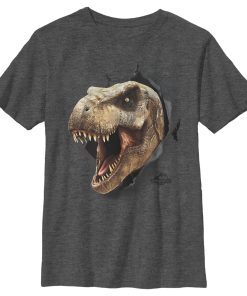 Boy’s Jurassic World T. Rex Escape T-Shirt