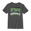 Boy’s Marvel Hulk Incredible Panels T-Shirt