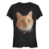Junior’s Marvel Captain Marvel Goose Cat Portrait T-Shirt