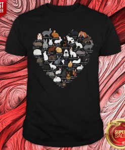 Original Love Bunnies Heart Shirt