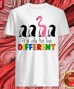 Perfect Flamingo It’s Ok To Be Different Shirt